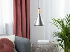 Beliani Stropní lampa ve stříbrné barvě ARDA
