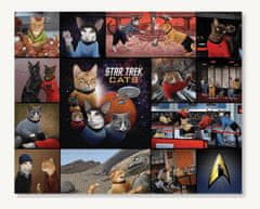 Chronicle Books Puzzle Star Trek Cats 1000 dílků