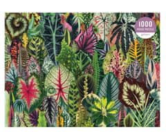 Galison Puzzle Džungle pokojových rostlin 1000 dílků