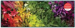 Galison Panoramatické puzzle Život rostlin 1000 dílků