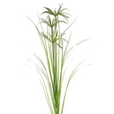 C7.cz Šáchor papírodárný / tráva Papyrus velká 120 cm