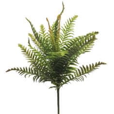 C7.cz Kapradina - Polystichum fern zelená 46cm (N319841)