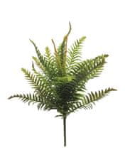 C7.cz Kapradina - Polystichum fern zelená 46cm (N319841)