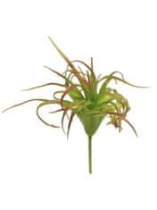 C7.cz Kykatka - Tilandsie / Tillandsia pick zelená/červená V7 cm