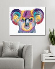 ZUTY Diamantové malování - BAREVNÁ KOALA NA BÍLÉM POZADÍ 40x50 cm vypnuté plátno na rám