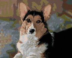 ZUTY Diamantové malování - WELSH CORGI PEMBROKE (VICTORIA SCHULTZ) 40x50 cm bez rámu a bez vypnutí plátna