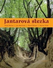 Bolina Pavel, Martínek Jan, Šlézar Pavel: Jantarová stezka