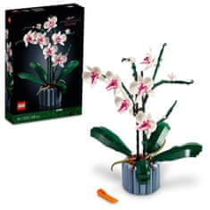 Botanicals 10311 Orchidej