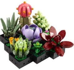 LEGO Botanicals 10309 Sukulenty