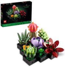 LEGO Botanicals 10309 Sukulenty