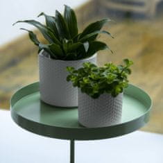 Greatstore Esschert Design Podnos na rostliny s držákem, kulatý, zelený, L
