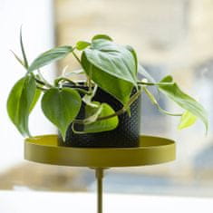 Greatstore Esschert Design Podnos na rostliny s držákem, kulatý, zlatý, velikost M