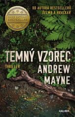 Andrew Mayne: Temný vzorec