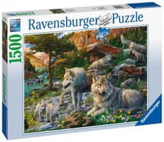 Ravensburger Puzzle - Jarní vlci 1500 dílků