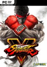 Street Fighter V (PC)