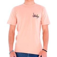 Hurley Pánské triko , Everyday Wash Parrot Bay | MTS0029710 | H600 - H600 | S