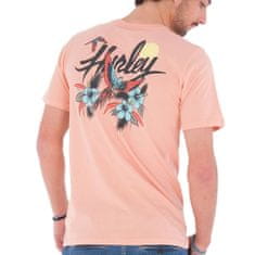 Hurley Pánské triko , Everyday Wash Parrot Bay | MTS0029710 | H600 - H600 | S