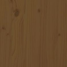 Greatstore Lavice s botníkem medově hnědá 160x36,5x50 cm masivní borovice