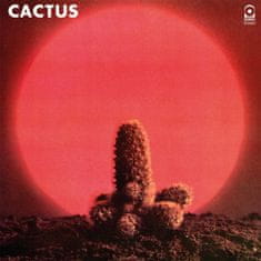 Cactus: Cactus