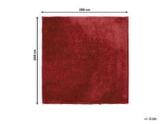 Beliani Koberec shaggy 200 x 200 cm červený EVREN