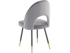 Danish Style Jídelní židle Roy (SADA 2 ks), samet, šedá