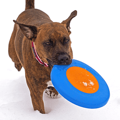 Planet Dog Orbee-Tuff Zoom Flyer Frisbee 16,5cm oranžovo/modrý