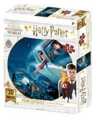 Prime 3D Puzzle Harry Potter: Harry a Ron nad Bradavicemi 3D 300 dílků