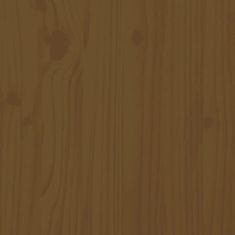 Greatstore Toaletní regál medově hnědý 63,5x32x179 cm masivní borové dřevo