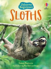 Usborne Usborne Beginners Sloths