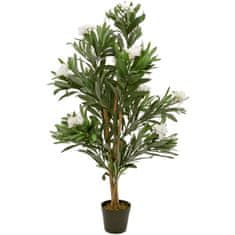 Europalms Oleandr bílý, 120 cm