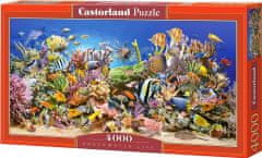 Castorland Puzzle Podmořský život 4000 dílků