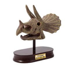 Buki France DinoSKULL vykopávka lebky Triceratops