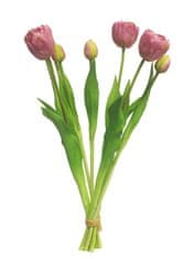 C7.cz Tulipán - svazek 7x fialový (mauve) V44 cm