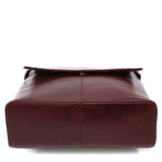 Arwel Tmavě červený městský kožený batoh Neville