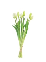 C7.cz Tulipán - Tulip Sally svazek x7 bilý/ krémová