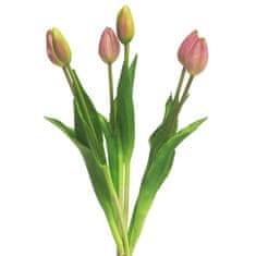 C7.cz Tulipán - Tulip svazek Sally x7 mauve/růžový V44 cm