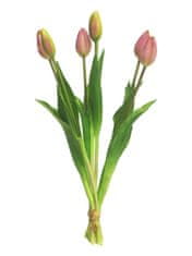 C7.cz Tulipán - Tulip svazek Sally x7 mauve/růžový V44 cm