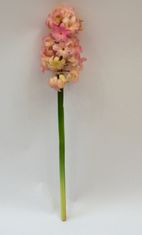 C7.cz Hyacint - Hyacinthus Plouye ponk/hnědý 47cm