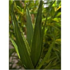 Europalms Aloe vera zelená, 50 cm