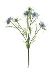 C7.cz Černucha - Nigella damascena modrá 66cm