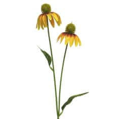 C7.cz Třapatka - Echinacea spray oranžová V54 cm