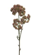 C7.cz Rozchodník - Sedum flower růžový V76 cm