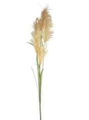 C7.cz Rákosová tráva (Reed grass) hnědá V145 cm