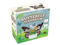 Mikro Trading Grow&decorate sada na výrobu motýlí zahrádky, 3 druhy sazenic v nádobě s nálepkami v krabičce