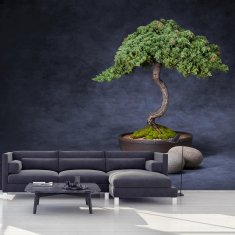 LuxusniObrazy.cz Fototapeta - Bonsai 294x204 cm