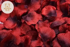 Medvídárek Okvětní lístky růže 400 ks - červeno černé vlčí mák
