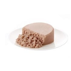 Applaws konzerva Cat Mousse Tuňák 6x 70g