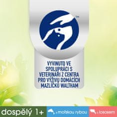 Perfect fit Natural Vitality kapsičky s mořskou rybou s lososem pro dospělé kočky 12× (6×50 g)