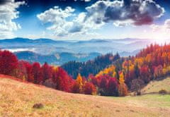 LuxusniObrazy.cz Fototapeta - Podzimní lesy 392x272 cm
