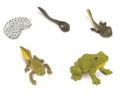 Animal Life figurky životní cyklus Žába